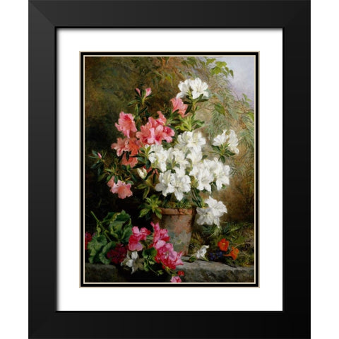 Still Life of Azaleas Black Modern Wood Framed Art Print with Double Matting by Feray Mutrie, Annie