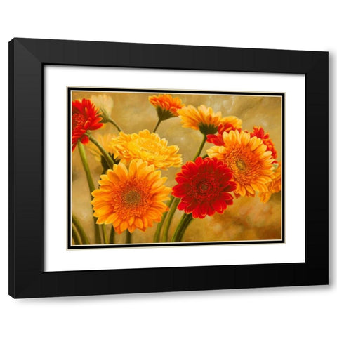 Gerbere nel sole Black Modern Wood Framed Art Print with Double Matting by Biffi, Serena