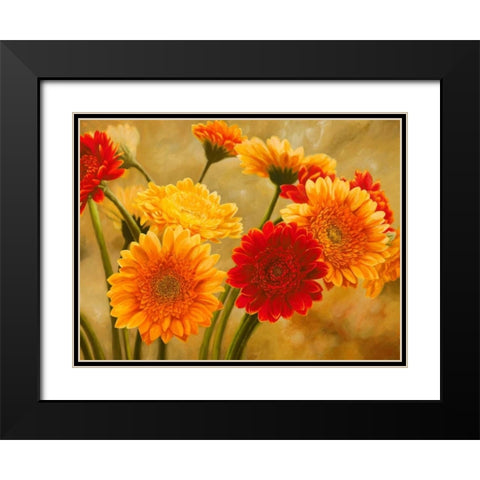Gerbere nel sole Black Modern Wood Framed Art Print with Double Matting by Biffi, Serena