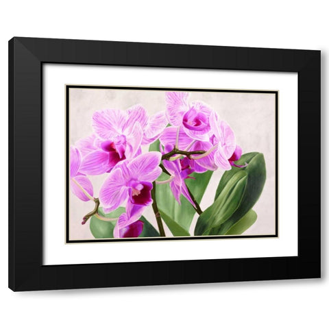 Orchidee selvagge Black Modern Wood Framed Art Print with Double Matting by Jannace, Sergio