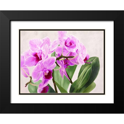 Orchidee selvagge Black Modern Wood Framed Art Print with Double Matting by Jannace, Sergio