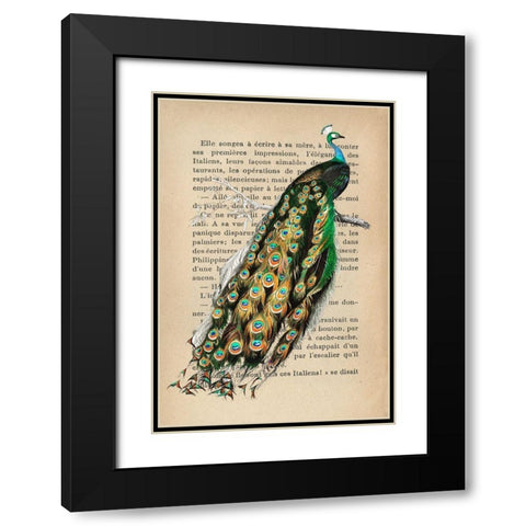 Indian peafowl- After DOrbigny Black Modern Wood Framed Art Print with Double Matting by Lamanche, Stef