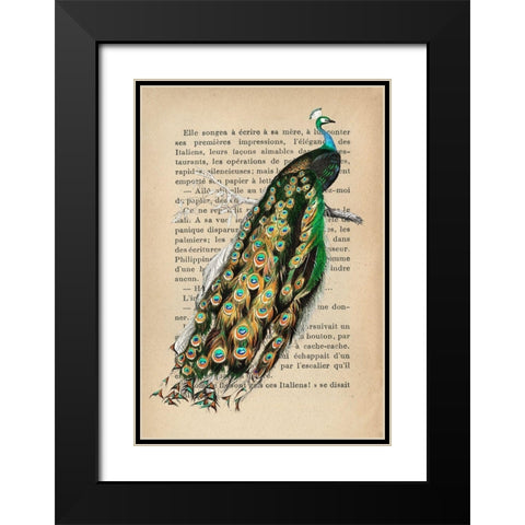 Indian peafowl- After DOrbigny Black Modern Wood Framed Art Print with Double Matting by Lamanche, Stef