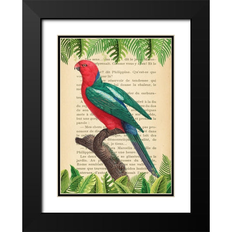 The Australian king parrot- After Levaillant Black Modern Wood Framed Art Print with Double Matting by Lamanche, Stef