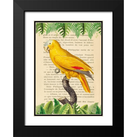 The Blue-Fronted Parrot- After Levaillant Black Modern Wood Framed Art Print with Double Matting by Lamanche, Stef