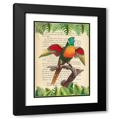 The Blue-Headed Parrot- After Levaillant Black Modern Wood Framed Art Print with Double Matting by Lamanche, Stef