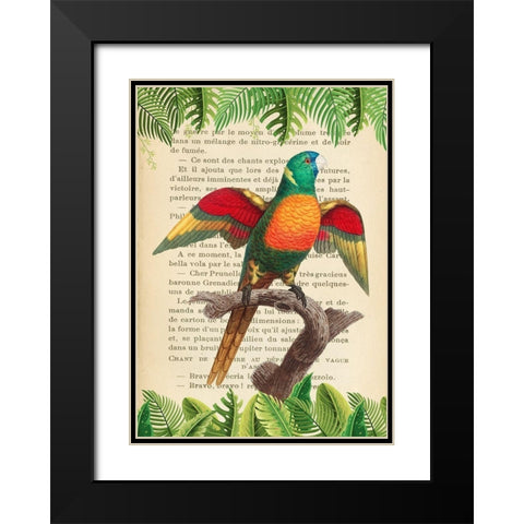 The Blue-Headed Parrot- After Levaillant Black Modern Wood Framed Art Print with Double Matting by Lamanche, Stef