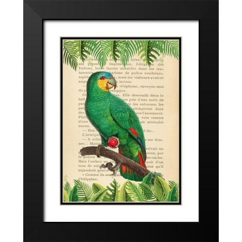 The Orange-Winged Amazon- After Levaillant Black Modern Wood Framed Art Print with Double Matting by Lamanche, Stef