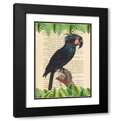 The Palm Cockatoo- After Levaillant Black Modern Wood Framed Art Print with Double Matting by Lamanche, Stef