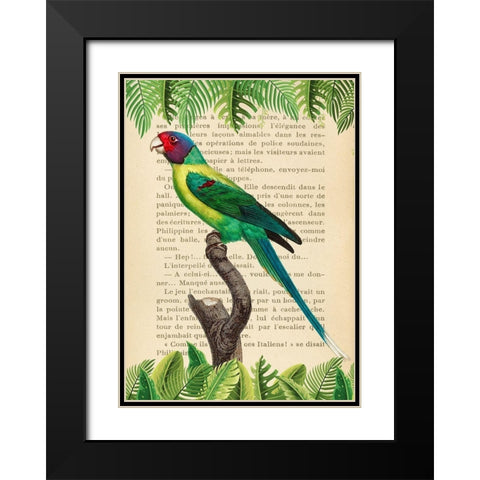 The Plum-Headed Parakeet- After Levaillant Black Modern Wood Framed Art Print with Double Matting by Lamanche, Stef