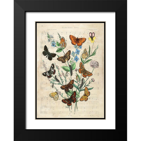 European Butterflies- After Kirby Black Modern Wood Framed Art Print with Double Matting by Lamanche, Stef