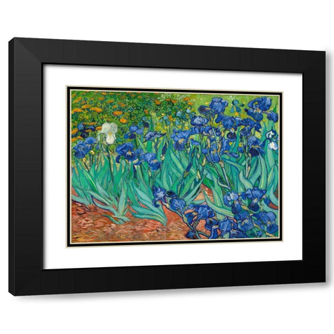 Irises Black Modern Wood Framed Art Print with Double Matting by Van Gogh, Vincent