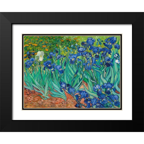 Irises Black Modern Wood Framed Art Print with Double Matting by Van Gogh, Vincent