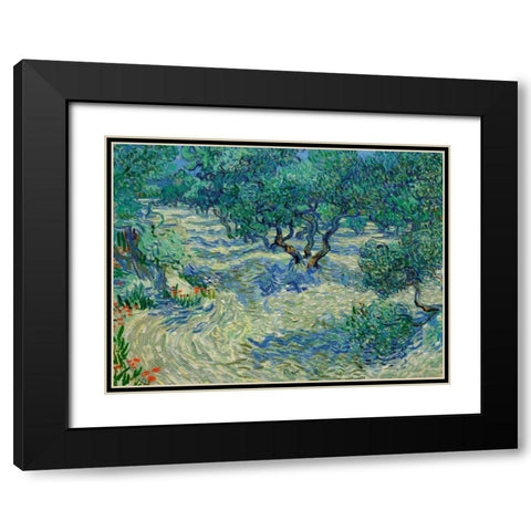 Olive Orchard Black Modern Wood Framed Art Print with Double Matting by Van Gogh, Vincent