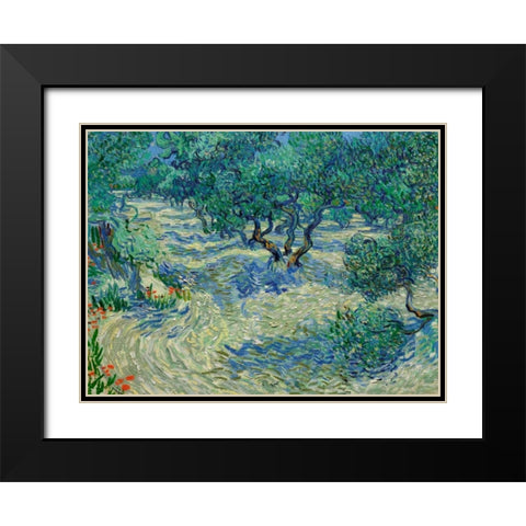 Olive Orchard Black Modern Wood Framed Art Print with Double Matting by Van Gogh, Vincent