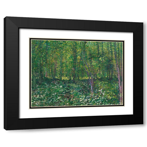 Trees and undergrowth Black Modern Wood Framed Art Print with Double Matting by van Gogh, Vincent