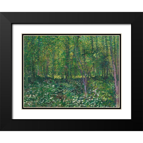 Trees and undergrowth Black Modern Wood Framed Art Print with Double Matting by van Gogh, Vincent