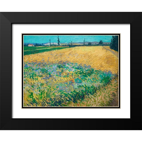 Wheatfield Black Modern Wood Framed Art Print with Double Matting by van Gogh, Vincent