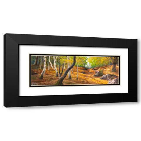 Sentiero nel bosco Black Modern Wood Framed Art Print with Double Matting by Galasso, Adriano