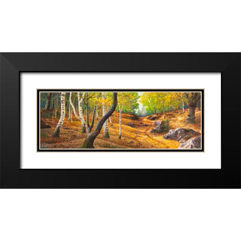 Sentiero nel bosco Black Modern Wood Framed Art Print with Double Matting by Galasso, Adriano