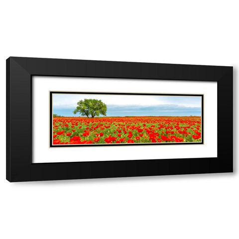 Tree in a poppy field Black Modern Wood Framed Art Print with Double Matting by Anonymous
