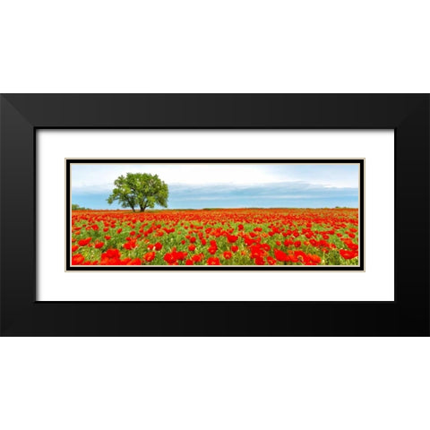 Tree in a poppy field Black Modern Wood Framed Art Print with Double Matting by Anonymous