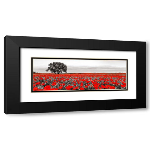 Tree in a poppy field Black Modern Wood Framed Art Print with Double Matting by Anonymous