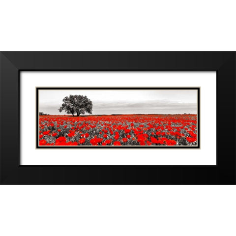 Tree in a poppy field Black Modern Wood Framed Art Print with Double Matting by Anonymous