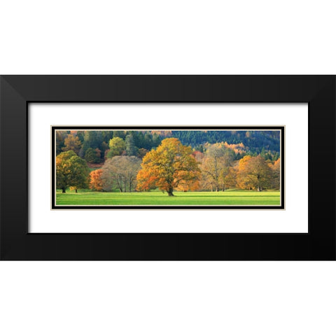 Mixed trees in autumn colour Scotland Black Modern Wood Framed Art Print with Double Matting by Anonymous