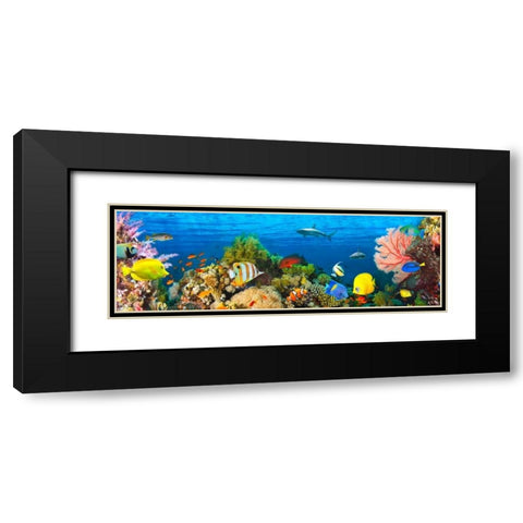 Life in the Coral Reef- Maldives Black Modern Wood Framed Art Print with Double Matting by Pangea Images