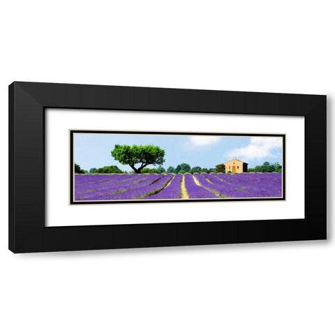 Lavender Fields, France Black Modern Wood Framed Art Print with Double Matting by Pangea Images