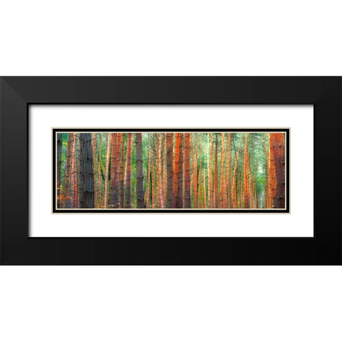 Colors of the Woods Black Modern Wood Framed Art Print with Double Matting by Pangea Images