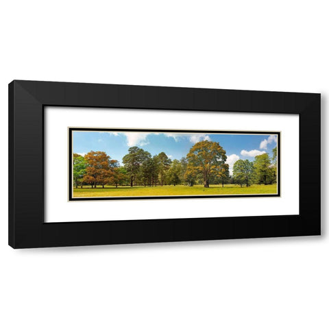 Trees in a Park Black Modern Wood Framed Art Print with Double Matting by Pangea Images