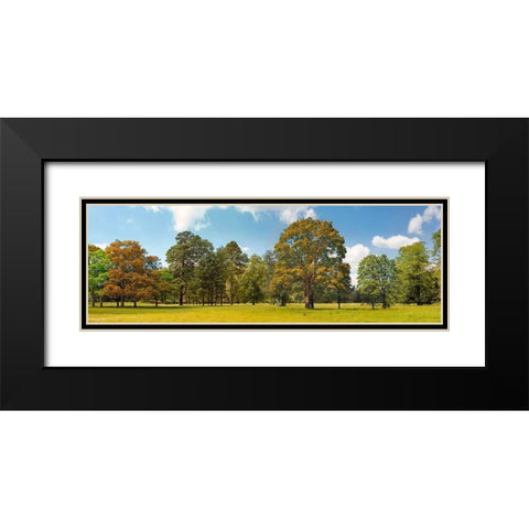 Trees in a Park Black Modern Wood Framed Art Print with Double Matting by Pangea Images