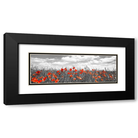 Poppies in corn field, Bavaria, Germany Black Modern Wood Framed Art Print with Double Matting by Krahmer, Frank
