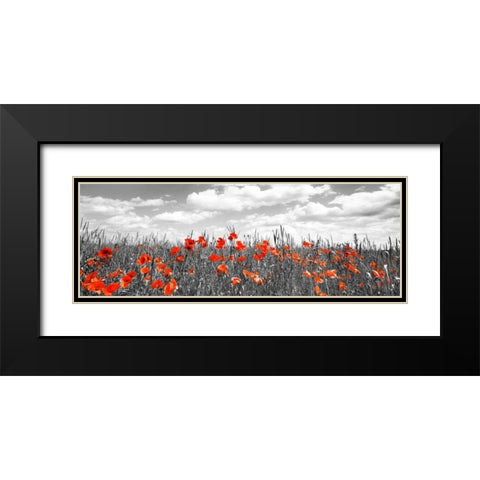 Poppies in corn field, Bavaria, Germany Black Modern Wood Framed Art Print with Double Matting by Krahmer, Frank
