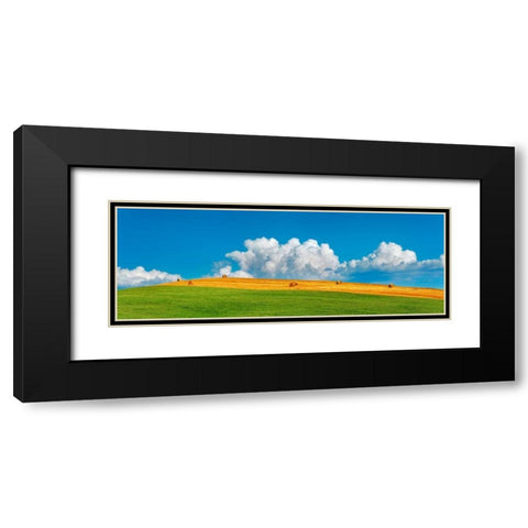 Corn field harvested, Tuscany, Italy Black Modern Wood Framed Art Print with Double Matting by Krahmer, Frank