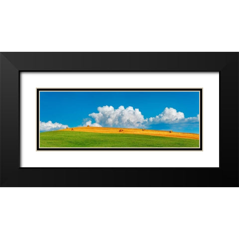 Corn field harvested, Tuscany, Italy Black Modern Wood Framed Art Print with Double Matting by Krahmer, Frank