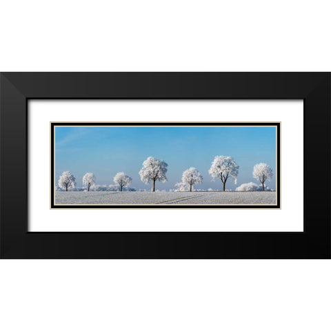 Alley tree with frost, Bavaria, Germany Black Modern Wood Framed Art Print with Double Matting by Krahmer, Frank
