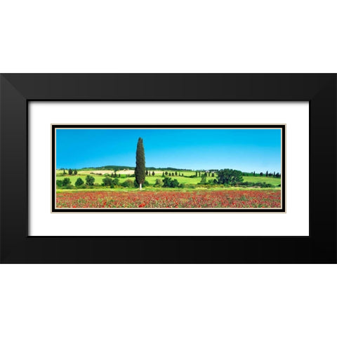 Cypress in poppy field, Tuscany, Italy Black Modern Wood Framed Art Print with Double Matting by Krahmer, Frank