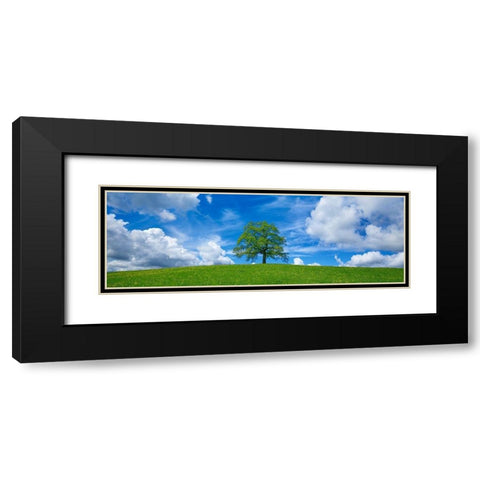 Oak and clouds, Bavaria, Germany Black Modern Wood Framed Art Print with Double Matting by Frank, Krahmer