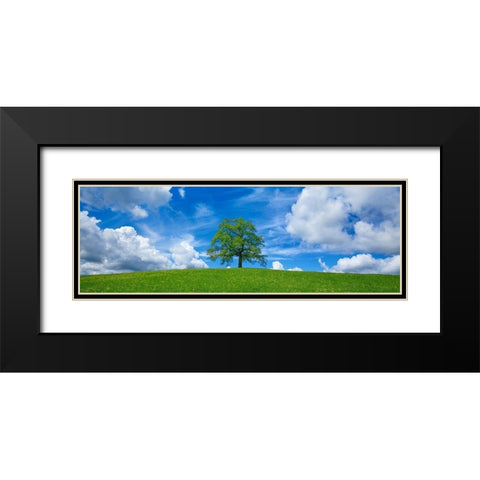 Oak and clouds, Bavaria, Germany Black Modern Wood Framed Art Print with Double Matting by Frank, Krahmer