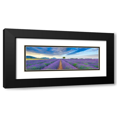 Lavender field, France Black Modern Wood Framed Art Print with Double Matting by Frank, Krahmer
