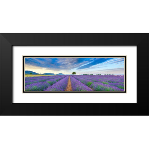 Lavender field, France Black Modern Wood Framed Art Print with Double Matting by Frank, Krahmer