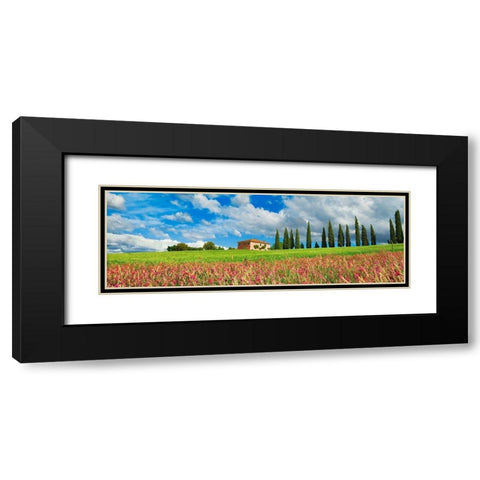Landscape with cypress alley and sainfoins- San Quirico dOrcia- Tuscany Black Modern Wood Framed Art Print with Double Matting by Krahmer, Frank