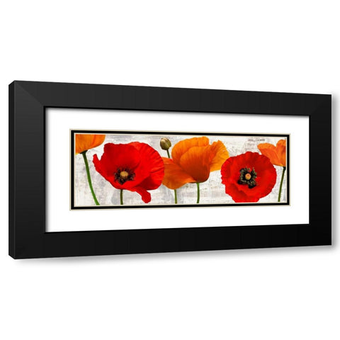 Summer Poppies Black Modern Wood Framed Art Print with Double Matting by Thomlinson, Jenny