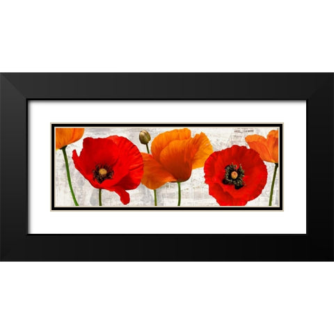 Summer Poppies Black Modern Wood Framed Art Print with Double Matting by Thomlinson, Jenny