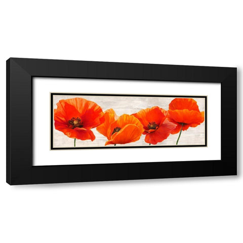 Bright Poppies Black Modern Wood Framed Art Print with Double Matting by Jenny, Thomlinson