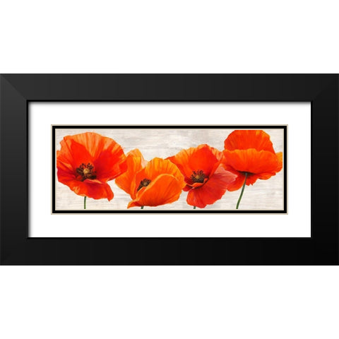 Bright Poppies Black Modern Wood Framed Art Print with Double Matting by Jenny, Thomlinson
