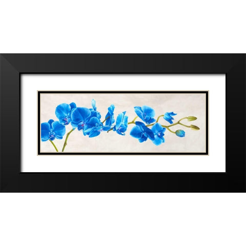 Blue Orchid Black Modern Wood Framed Art Print with Double Matting by Mills, Shin